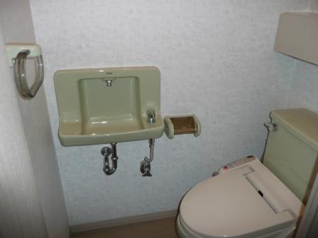 Toilet. Room (May 2013) Shooting