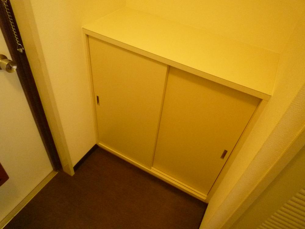 Entrance. Compact front door storage