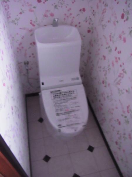 Toilet