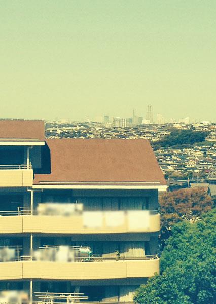 View photos from the dwelling unit. View from the dwelling unit