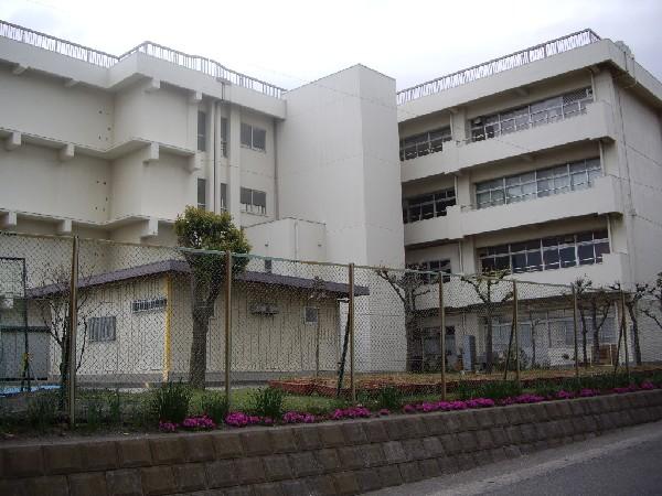 Junior high school. Neoptile is about a 14-minute walk up to 1100m neoptile junior high school until junior high school. 
