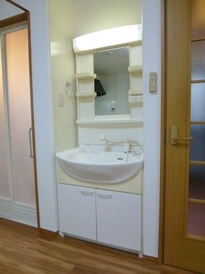 Washroom. Washbasin with shower handle