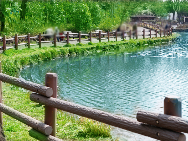 Surrounding environment. Kikuna pond park (a 9-minute walk / About 660m)