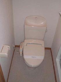 Toilet. Current state priority