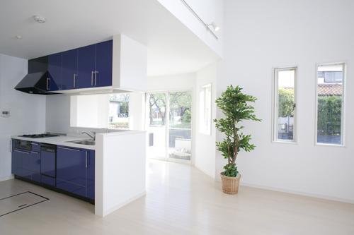 Same specifications photo (kitchen). Same construction company construction cases