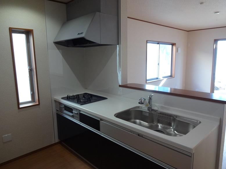 Kitchen. Indoor (12 May 2013) Shooting