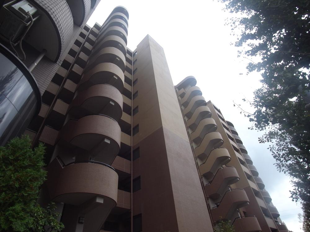 Local appearance photo. Local (11 May 2013) Shooting