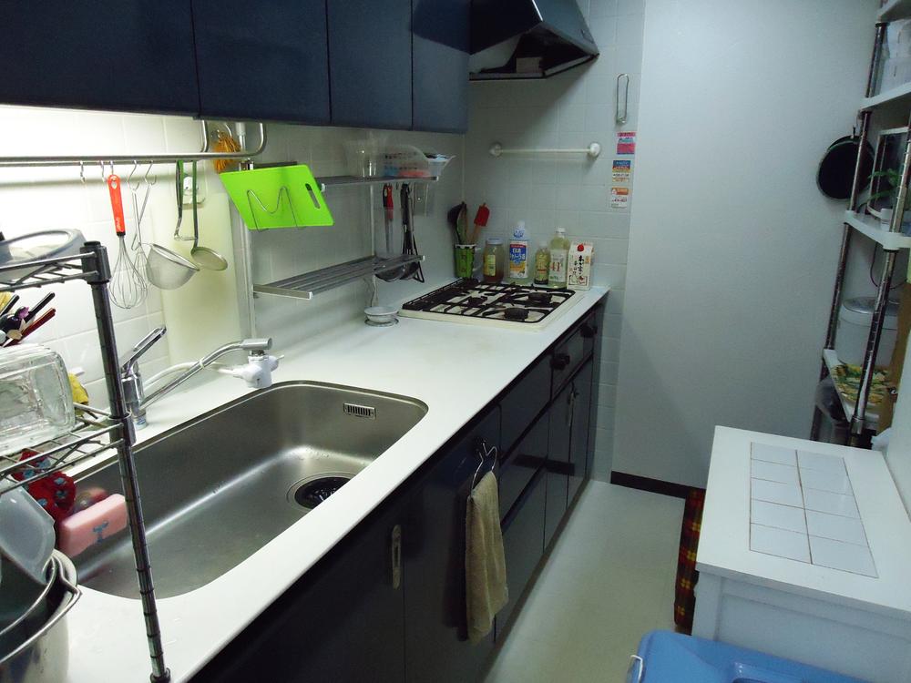 Kitchen. Indoor (11 May 2013) Shooting