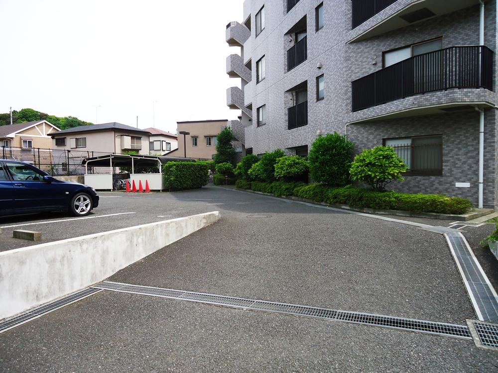 Parking lot. Common areas