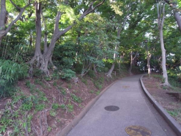 park. 100m until Tsunashima park