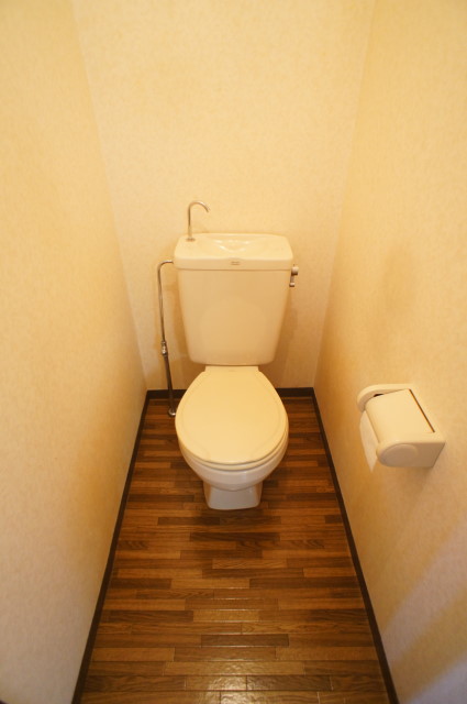 Toilet. Is a normal toilet (laughs)