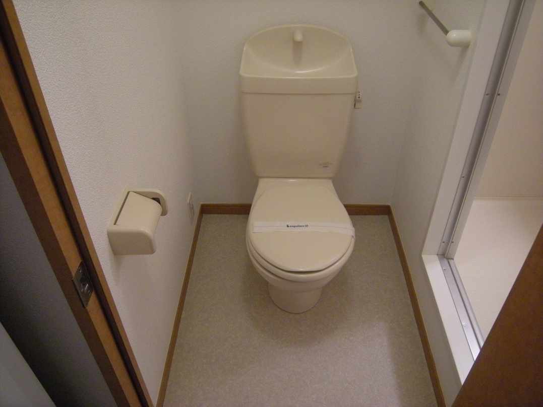 Toilet. Current state priority