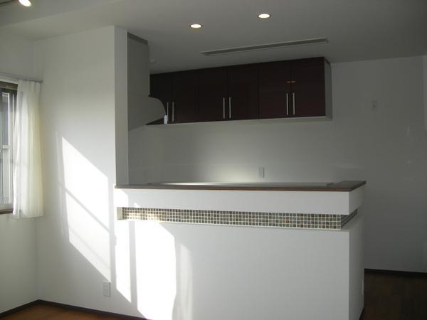 Kitchen. Indoor (10 May 2013) Shooting