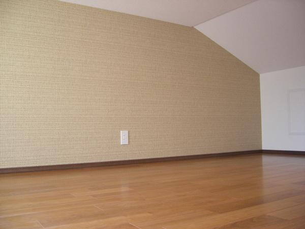 Other. Indoor (10 May 2013) Shooting Attic storage