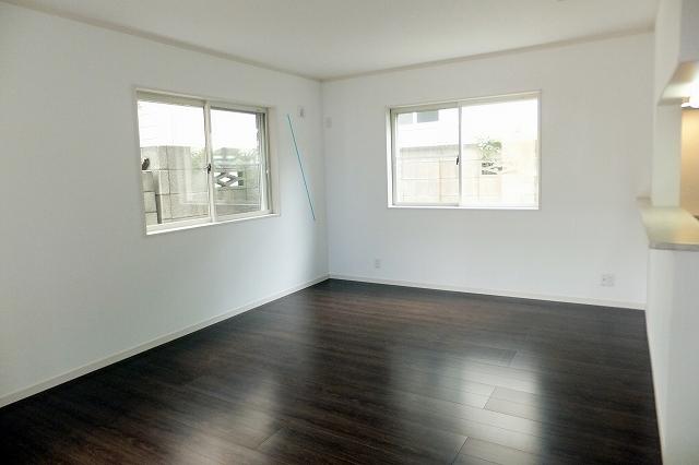 Living. Indoor (July 14, 2013) Shooting