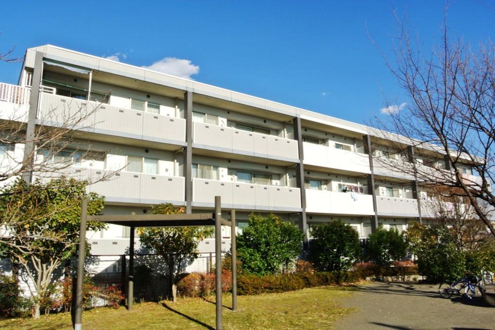 Local appearance photo. Local (12 May 2013) Shooting