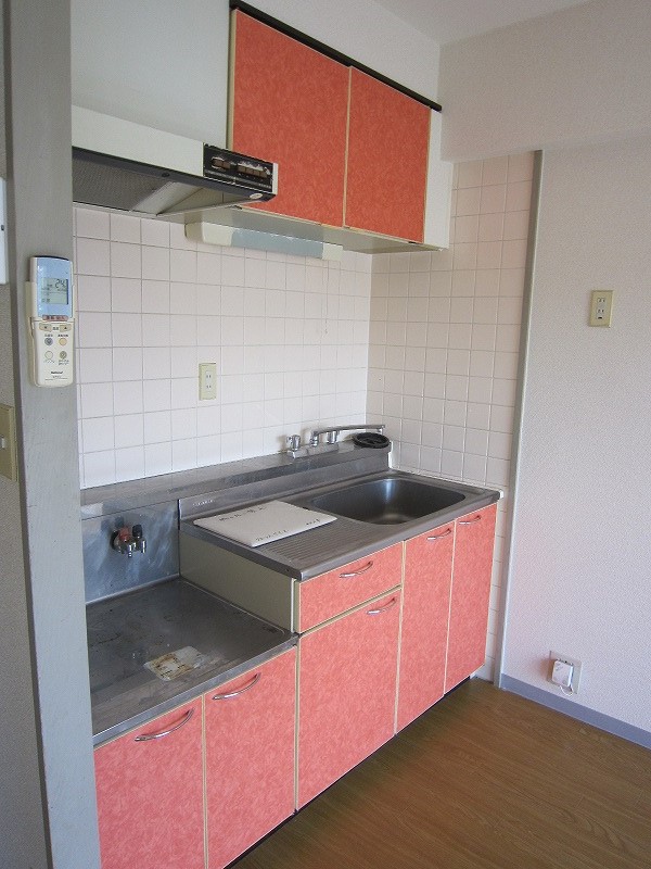 Kitchen. Bright pink color of the kitchen