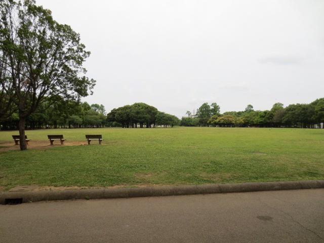 park. Kishinekoen representative of the 1000m Kohoku-ku to Kishinekoen is, Visited by many children of the family regardless of the weekday holiday, Both in name and reality has become a recreation office of Kohoku Ward. The park, Including Shinohara pond, Plaza, baseball Ground, There are such a lot of facilities playground equipment.