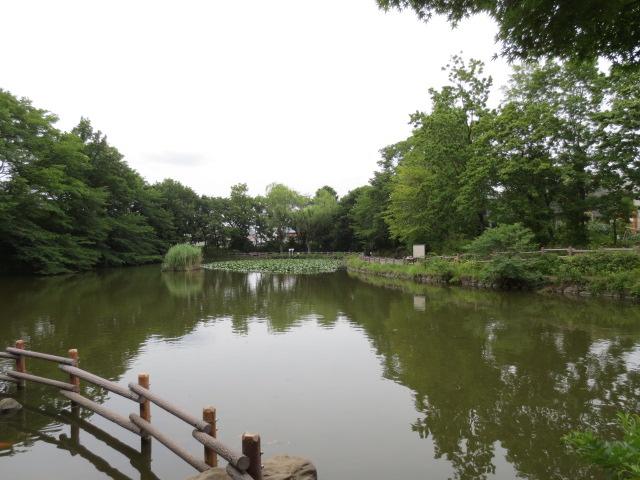 park. Until Kikuna pond park 500m this park with a focus on Kikuna pond as its name, Toyoko located in the location of about a 5-minute walk from the "Myōrenji Station". Also, 7 ~ There is an outdoor pool for a limited time in September.