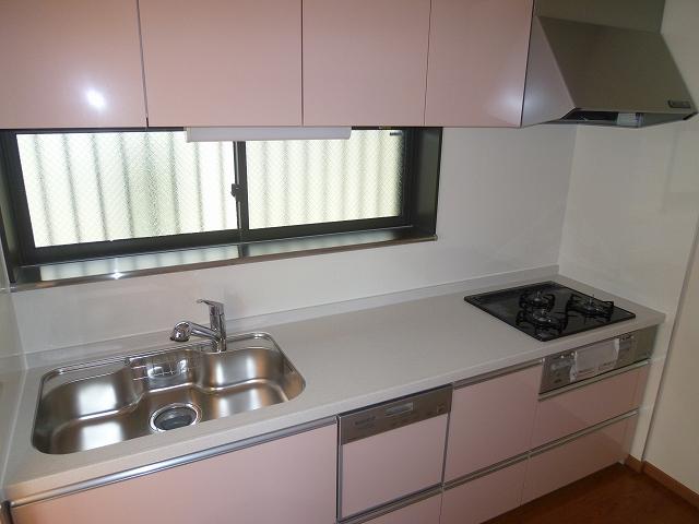 Kitchen. Indoor (January 29, 2013) Shooting