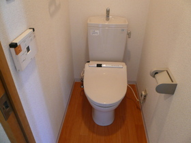 Toilet. Happy cleaning function with toilet seat