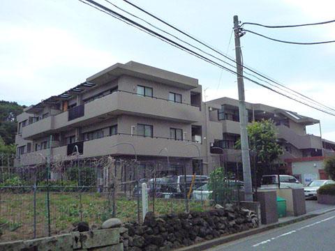 Local appearance photo. Local shooting