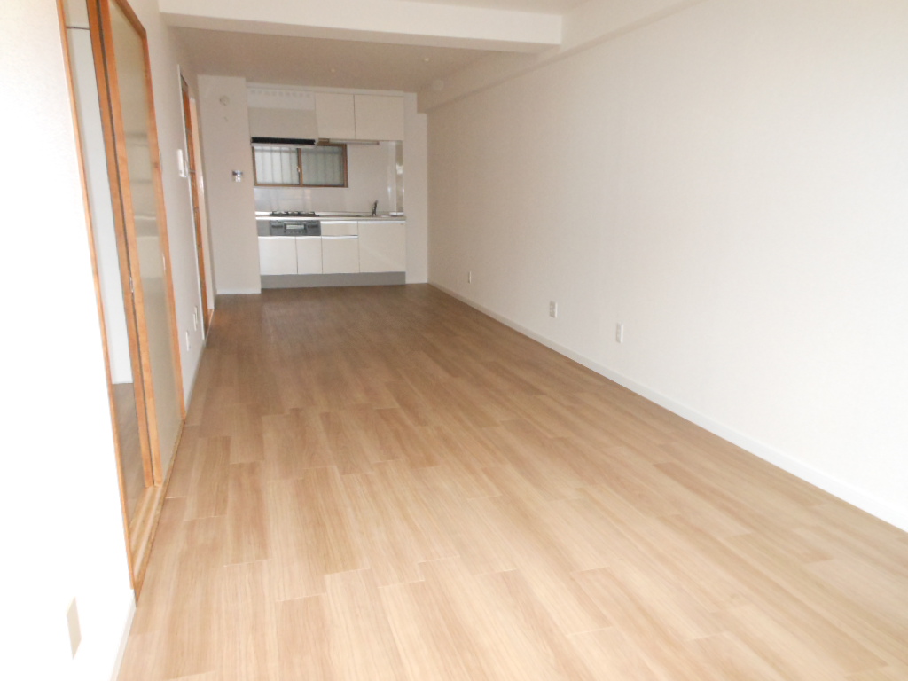 Living and room. Spacious LDK