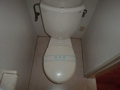 Toilet. Toilet