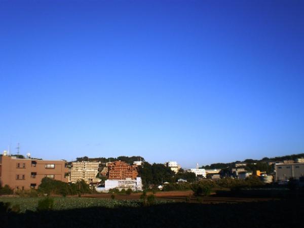 Other Environmental Photo. To other environment photo to 50m adjacent landscape from Miyahara park