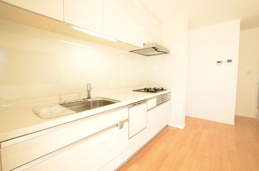 Kitchen. Indoor (11 May 2013) Shooting