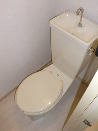 Toilet. Same building same specifications Photos