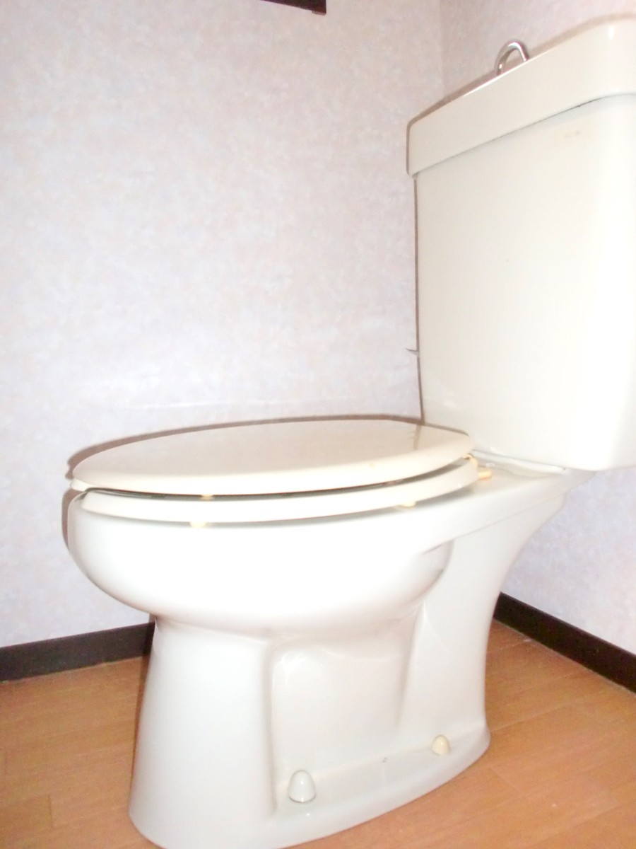 Toilet. Toilet