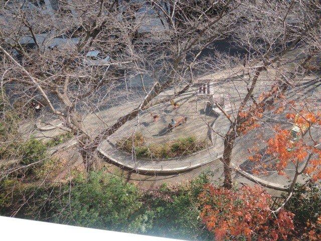 Other common areas. There are park on site