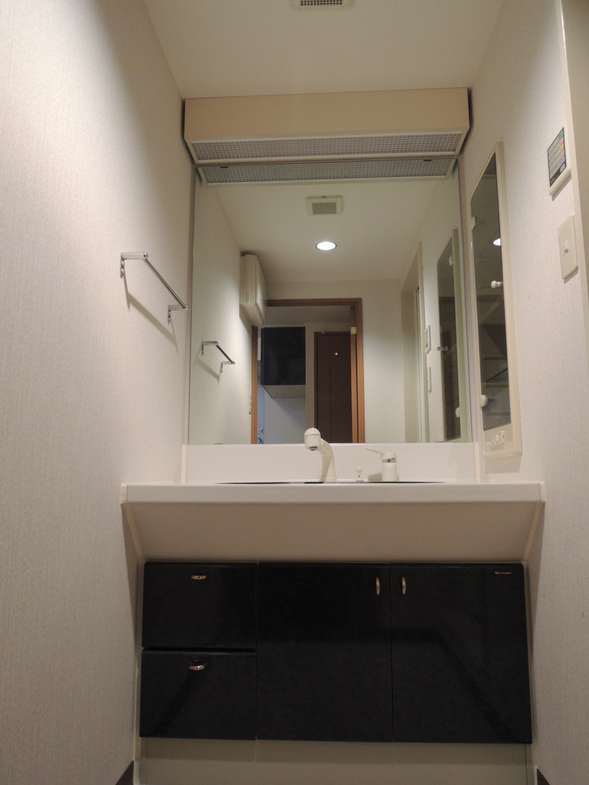 Washroom. Shampoo dresser