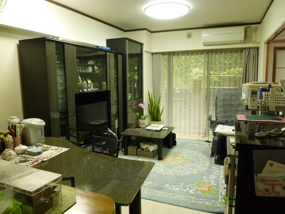 Living. Indoor (10 May 2013) Shooting