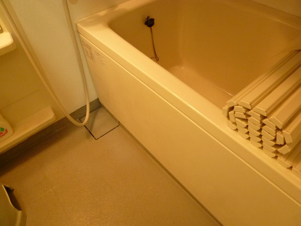 Bathroom. Indoor (10 May 2013) Shooting