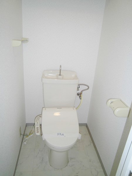 Toilet. Bidet