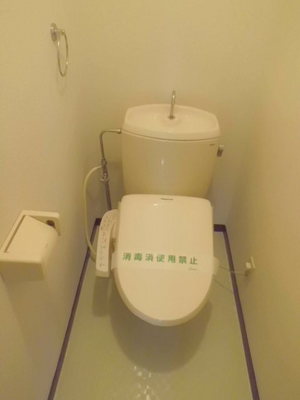 Toilet. There and glad Washlet toilet