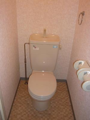 Other. Toilet