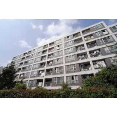 Local appearance photo. 2013 September shooting