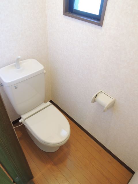 Toilet. Toilet