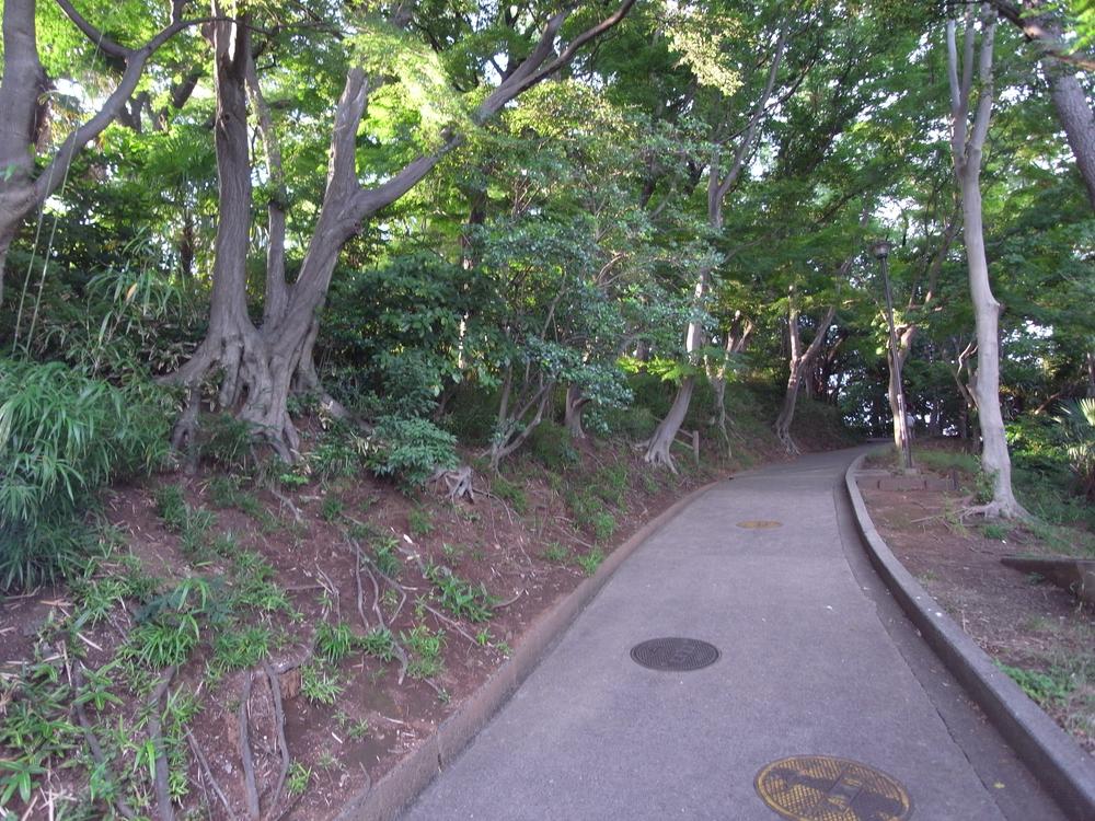 Other. Tsunashima Park (July 2013 shooting)