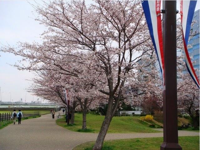 Other. Shin-Yokohama Station park