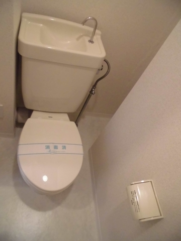 Toilet. It is a beautiful toilet!