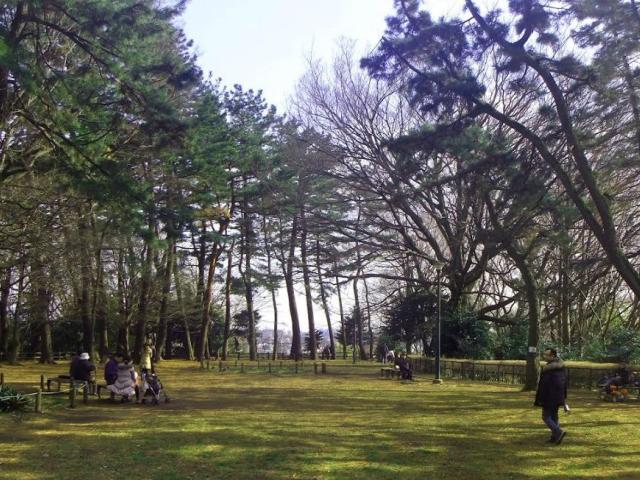 park. 830m until Okurayama park