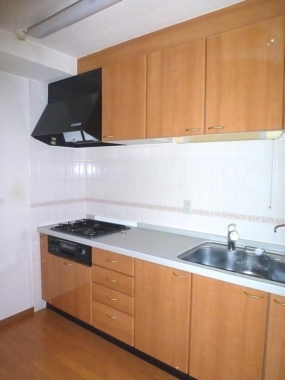 Kitchen. Room (August 2013) Shooting