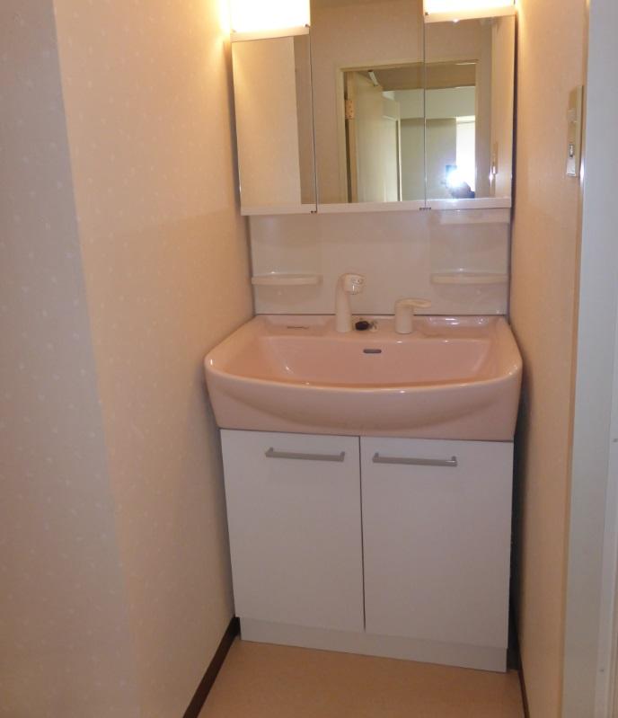 Wash basin, toilet. Independent wash basin