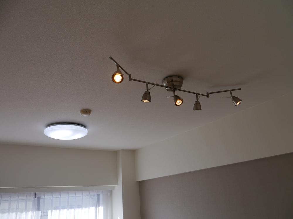 Other. Living ceiling lighting