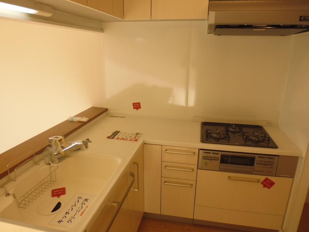 Kitchen. Indoor shooting