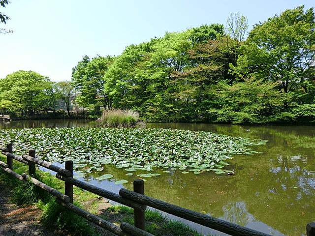 park. 600m until Kikuna pond park